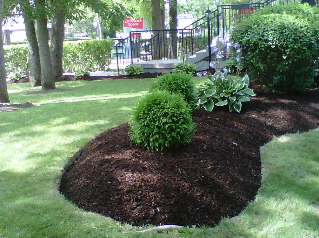 GREEN CARE Property Maintenance | 245 Gibb St, Oshawa, ON L1J 1Y9, Canada | Phone: (905) 424-1441