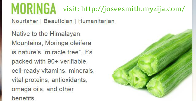 Josee Smith No Excuse Health Coaching | 1046 Lakeshore Rd, Sarnia, ON N7V 2V6, Canada | Phone: (519) 402-8093