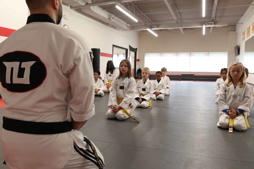 Top Level Taekwondo & Martial Arts Academy Cambridge | 1655 Bishop St N Unit 101, 102, Cambridge, ON N1R 8B5, Canada | Phone: (519) 623-9596