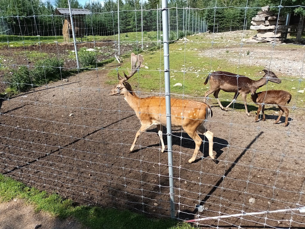 Zoo Falardeau | 309 2e Rang, Le Fjord-du-Saguenay, QC G0V 1C0, Canada | Phone: (418) 673-4602