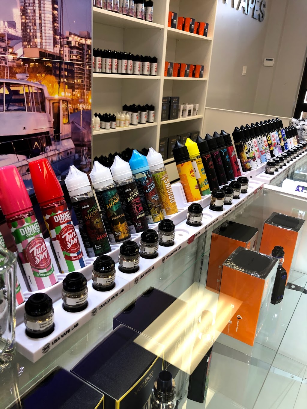 GTA Vapes Georgetown Vape Shop | 118 Guelph St, Georgetown, ON L7G 4A3, Canada | Phone: (905) 702-6482
