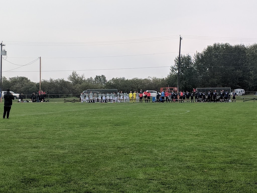 Henry Singer Park | 14940 142 St NW, Edmonton, AB T6V 1H9, Canada | Phone: (780) 443-6016
