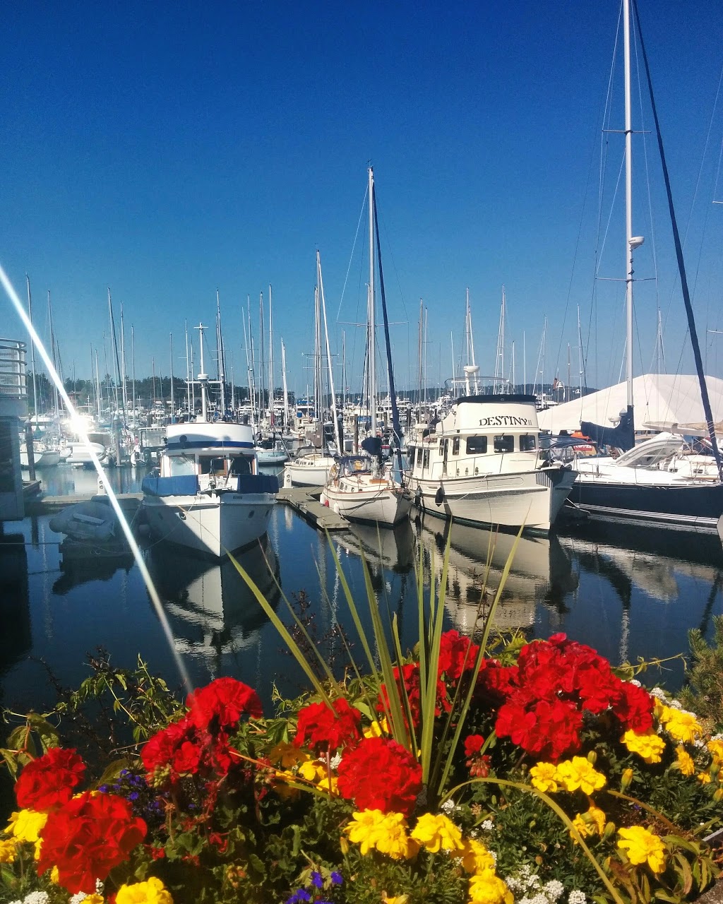 Don Mann Excavating Ltd. | 4098 Lochside Dr, Victoria, BC V8X 2C8, Canada | Phone: (250) 479-8283