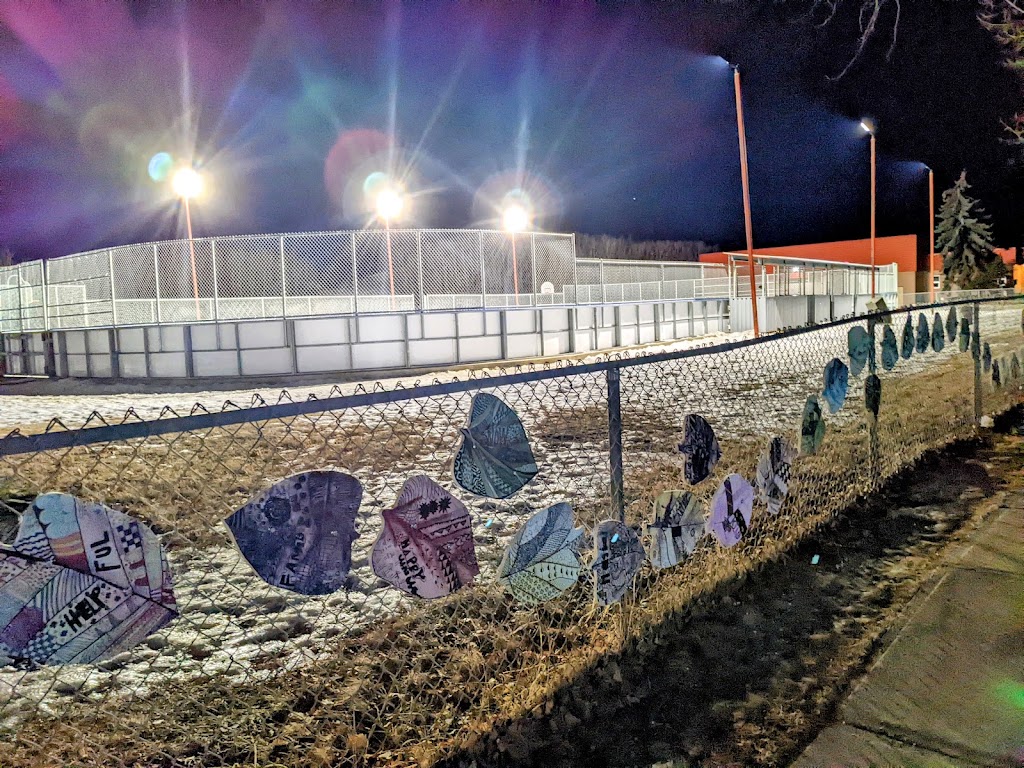 Ranchlands Community Association outdoor rink | Ranchlands, Calgary, AB T3G 2B3, Canada | Phone: (403) 241-0335