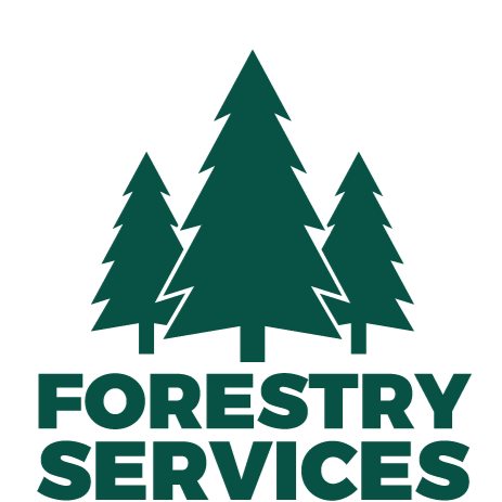 Brushpunks Forestry Services | 4218 6th avanue, Peachland, BC V0H 1X5, Canada | Phone: (250) 717-7886