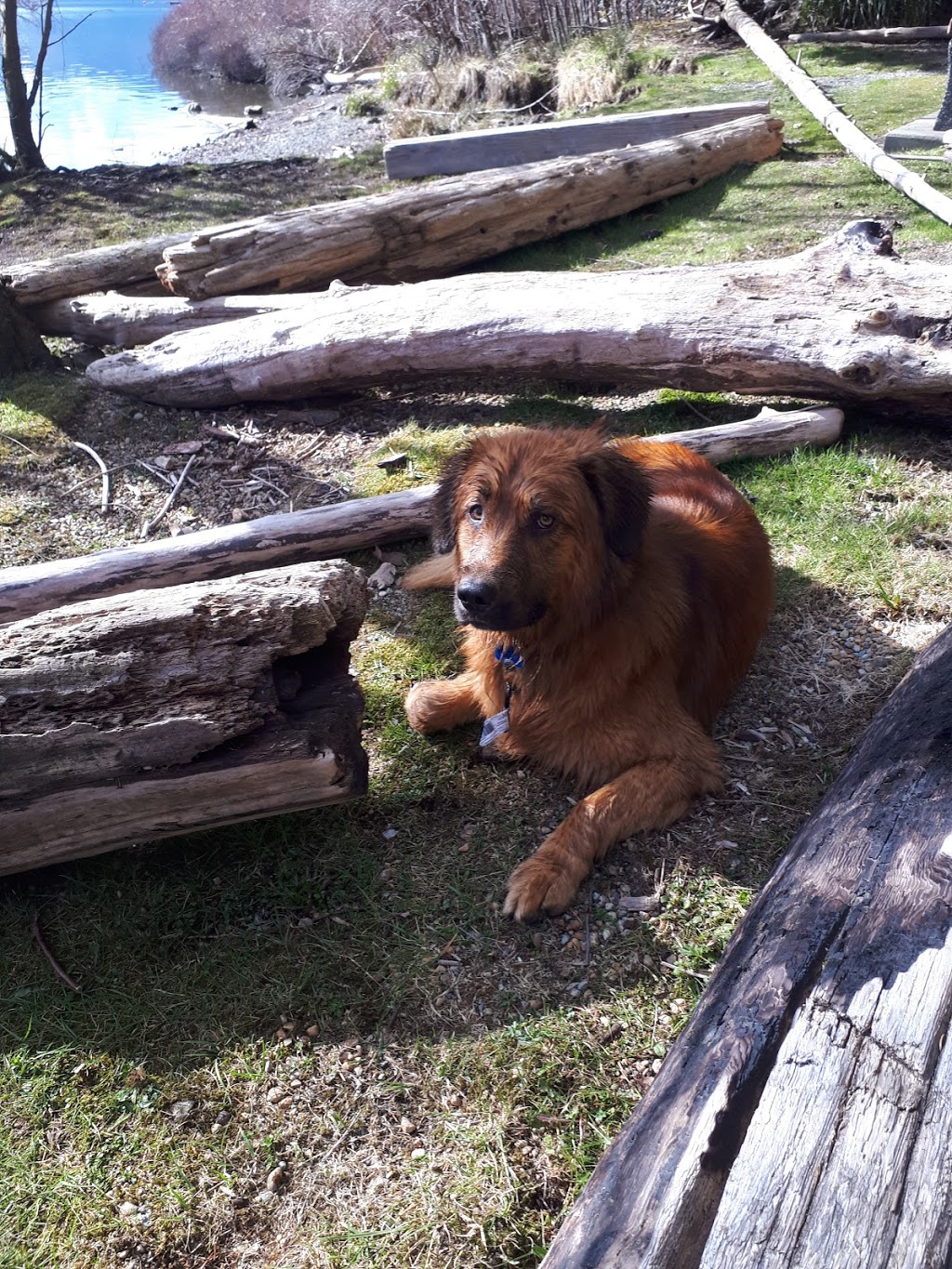 Stoker Park | Marble Bay Rd, Meades Creek Rd, Youbou, BC V0R 2N0, Canada | Phone: (250) 746-2500
