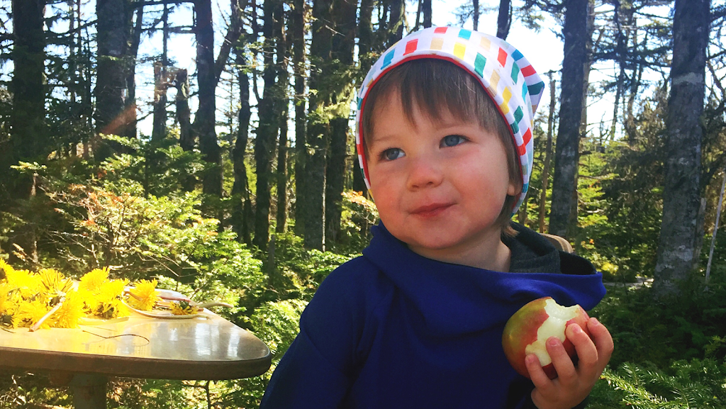 Antisewcial | 17 Nathaniel Drtive, Torbay, NL A1K 1M6, Canada | Phone: (250) 465-8111