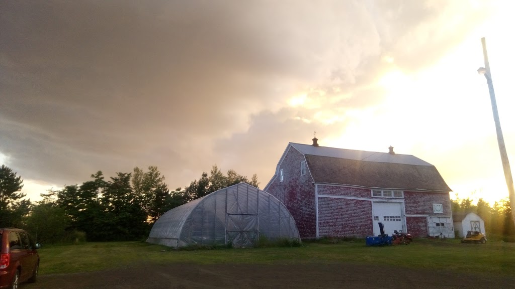 Chef Carson Farm / Dune View Inn | 589 NB-475, Baie de Bouctouche, NB E4S 4N9, Canada | Phone: (506) 743-9893