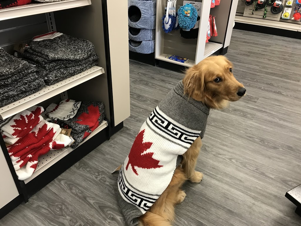 Global Pet Foods | 14800 Yonge St Unit 153, Aurora, ON L4G 1N3, Canada | Phone: (905) 727-3448