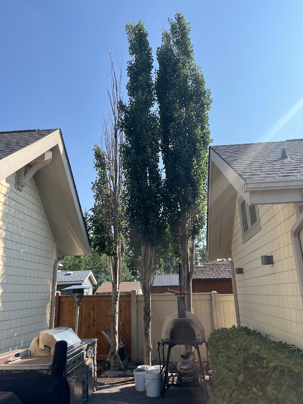 Fisher Hill Tree Company | 48075, Range Rd 194, Camrose, AB T4V 2N1, Canada | Phone: (780) 678-4909