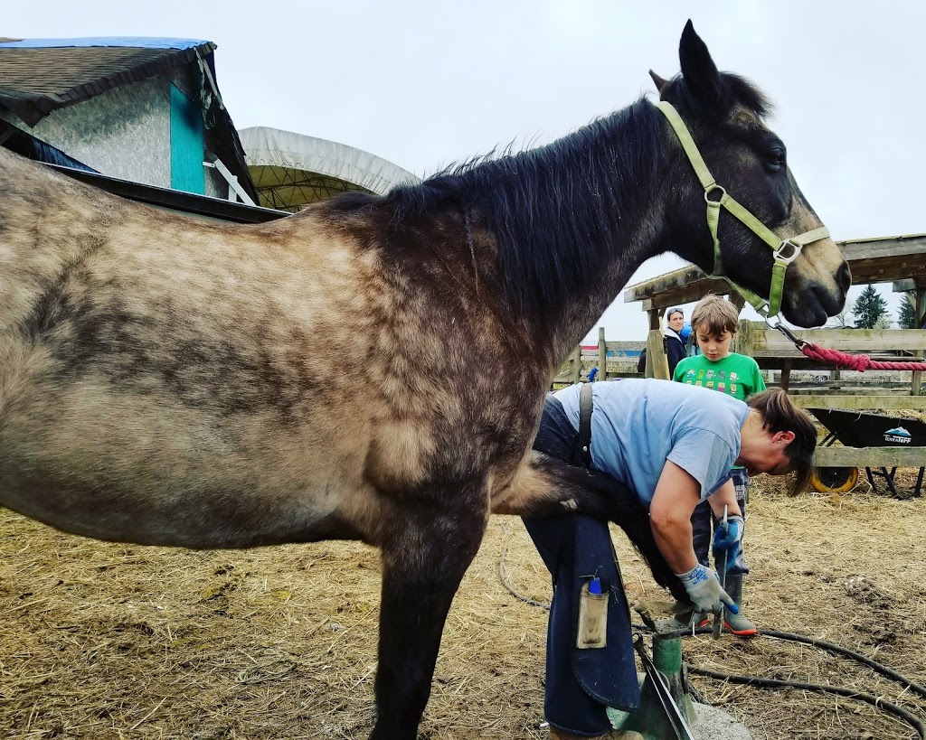 Pemberley Riding School | 21281 128 Ave, Maple Ridge, BC V4R 2N1, Canada | Phone: (604) 836-7522