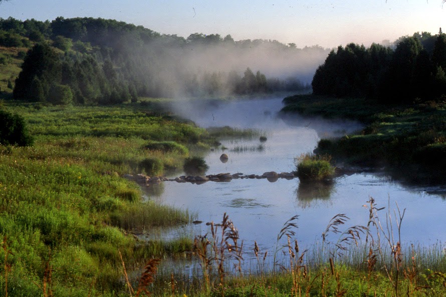 Saugeen Valley Conservation Authority | 1078 Bruce Rd 12, Formosa, ON N0G 1W0, Canada | Phone: (519) 367-3040