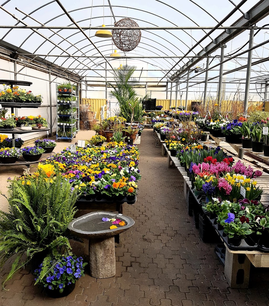 The Living Outdoors Ltd | 486 Main St, Cambridge, ON N1R 5S7, Canada | Phone: (519) 622-1861