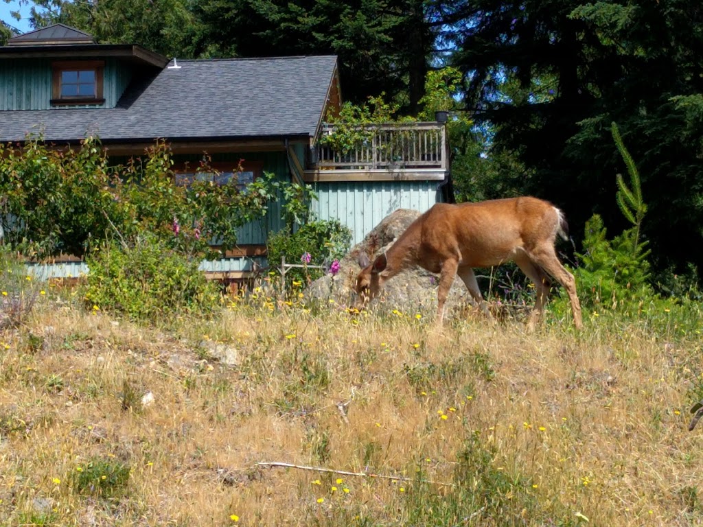 Rivendell Retreat Ctr | 600 Rivendell Dr, Bowen Island, BC V0N 1G0, Canada | Phone: (604) 947-0077