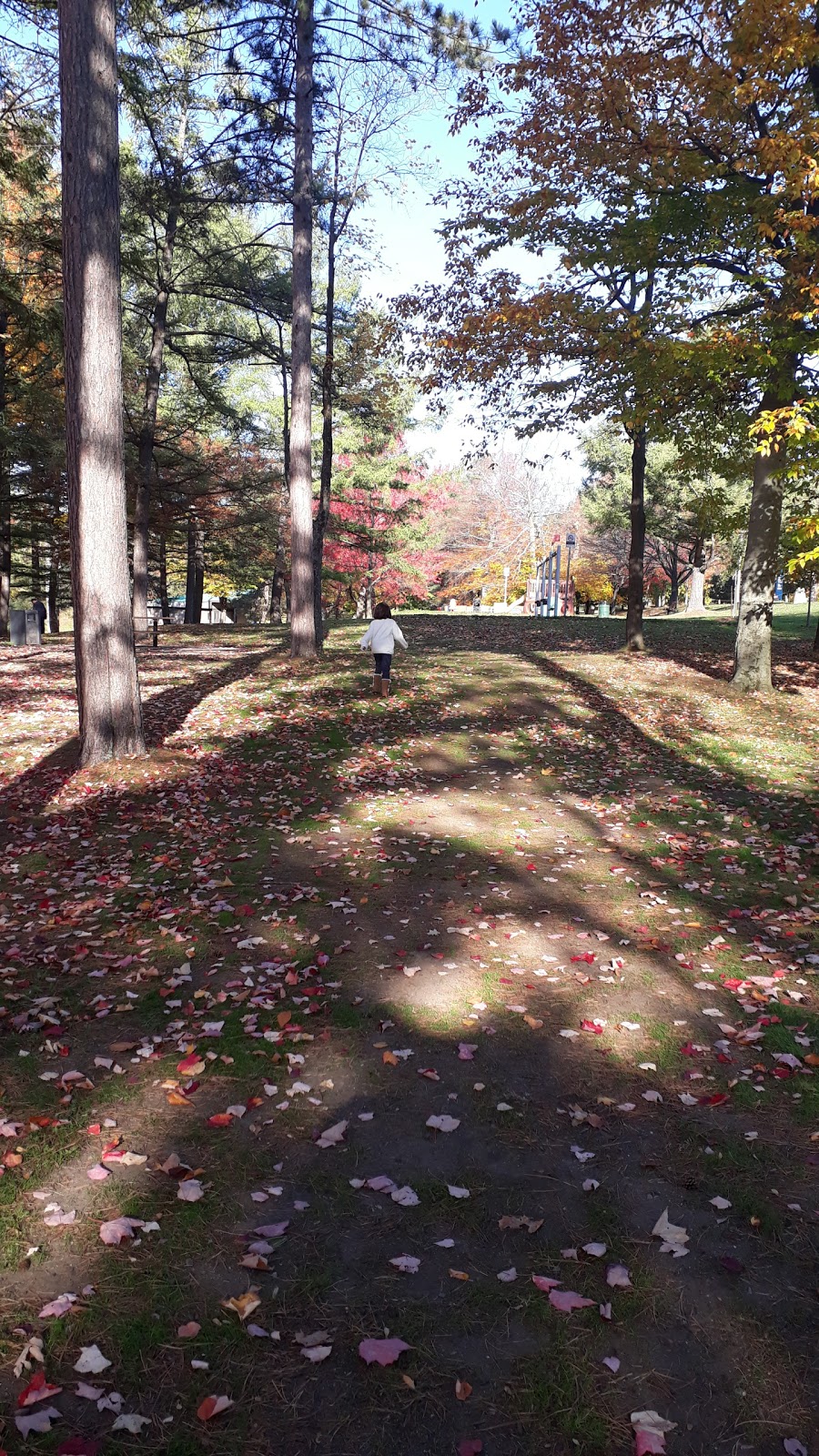 Parc Sylvie-Daigle | 400 Rue du Cégep, Sherbrooke, QC J1E 2J9, Canada | Phone: (819) 560-8900
