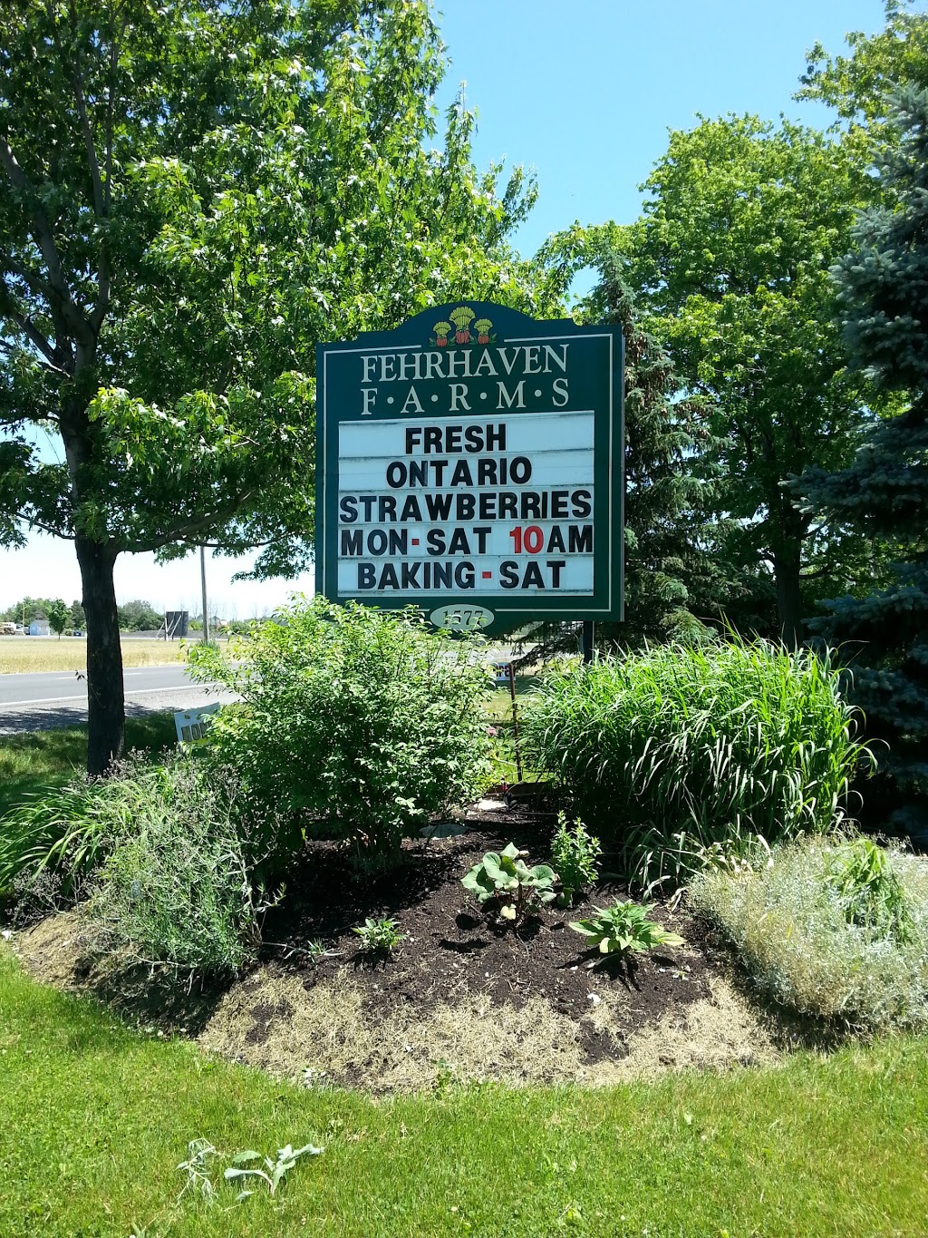 Fehrhaven Farms | 1577 ON-3, Port Colborne, ON L3K 5V3, Canada | Phone: (905) 834-6440