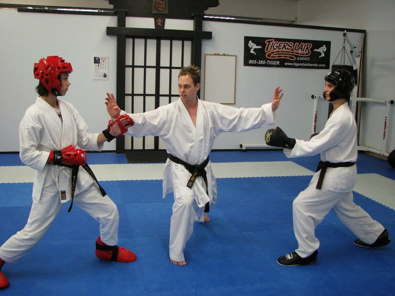 Tigers Lair Karate | 6625 Drummond Rd, Niagara Falls, ON L2G 4N4, Canada | Phone: (905) 371-8287