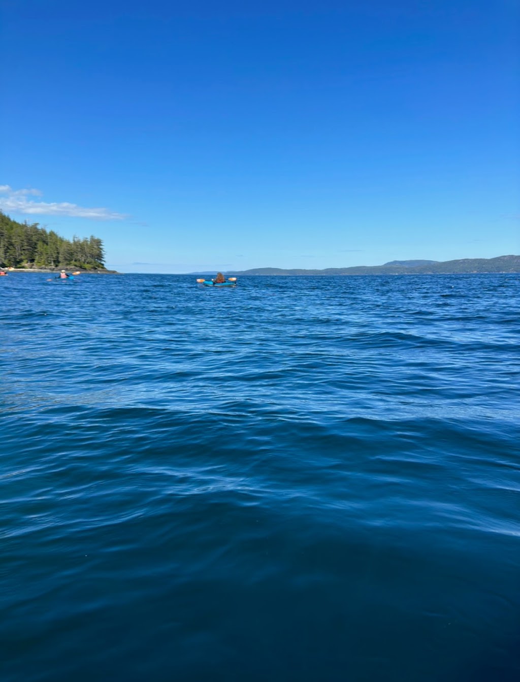 Grey Wolf Expeditions | 1811 Surgenor Rd, Black Creek, BC V9J 1G6, Canada | Phone: (250) 337-5717