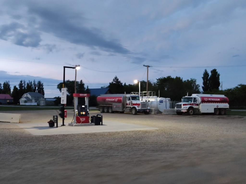 Co-op Food Store | 112 1 Ave, Allan, SK S0K 0C0, Canada | Phone: (306) 257-3213