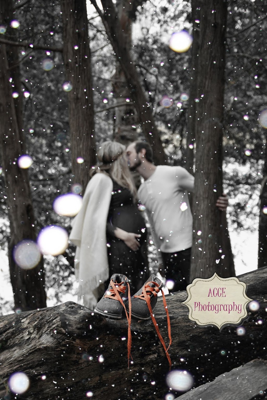 ACCE Photography | Shelburne, ON L0N 1S4, Canada | Phone: (905) 872-5070