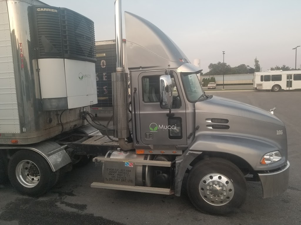 Mucci Farms Ltd | 1876 Seacliff Dr, Kingsville, ON N9Y 2N1, Canada | Phone: (519) 326-8881