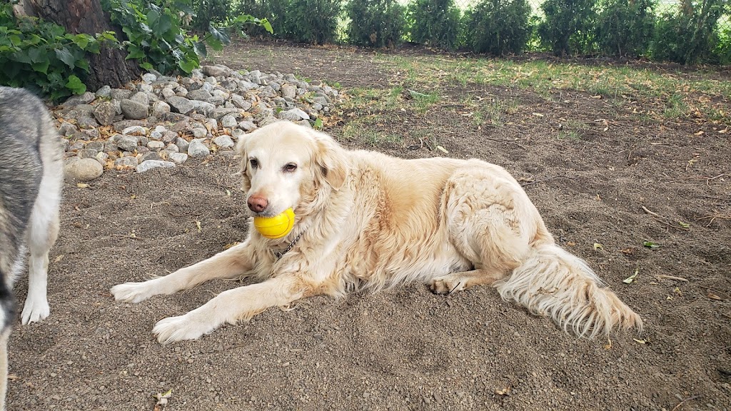 Montreal West dog park | 17 Chem. Ainslie, Montréal-Ouest, QC H4X 1V3, Canada | Phone: (514) 872-0311