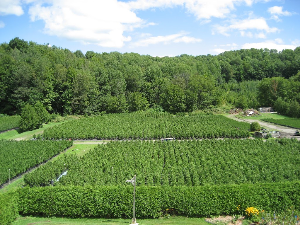 Cèdres des Cantons | 7964 Rte Louis-S.-Saint-Laurent, Compton, QC J0B 1L0, Canada | Phone: (819) 849-2429