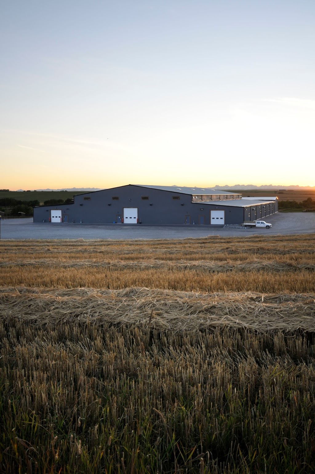 Prairie Mountain Ranch | 3245 Township Rd 292, Madden, AB T0M 1L0, Canada | Phone: (403) 946-0430