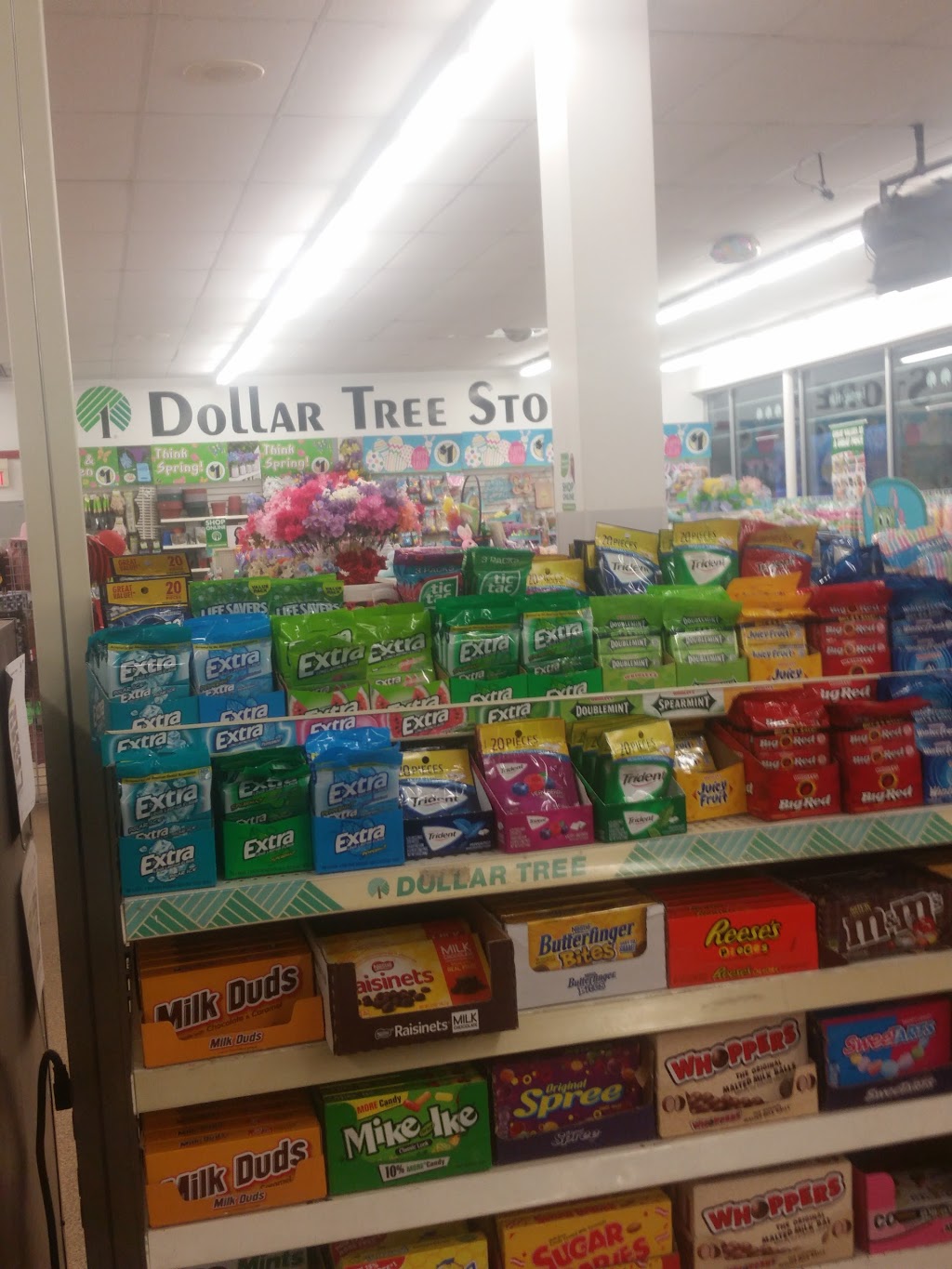 Dollar Tree | 4236 Delaware Ave, Tonawanda, NY 14150, USA | Phone: (716) 799-6038