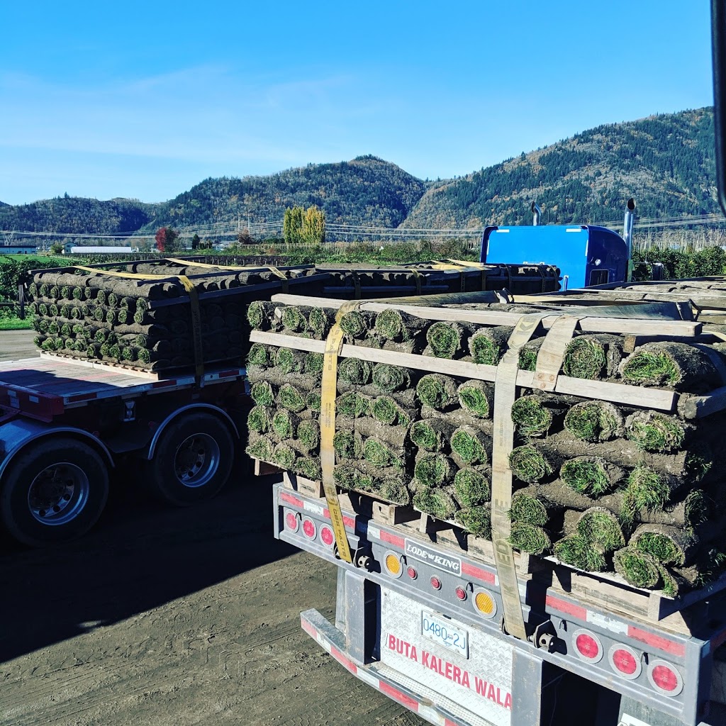 Western Turf Farms Ltd | 39183 No 5 Rd, Abbotsford, BC V3G 2G3, Canada | Phone: (604) 850-6660