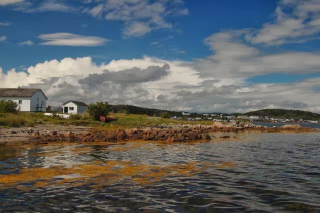 Newfoundland Photography | 18 Talon Ct, Truro, NS B2N 7B4, Canada | Phone: (902) 229-7435
