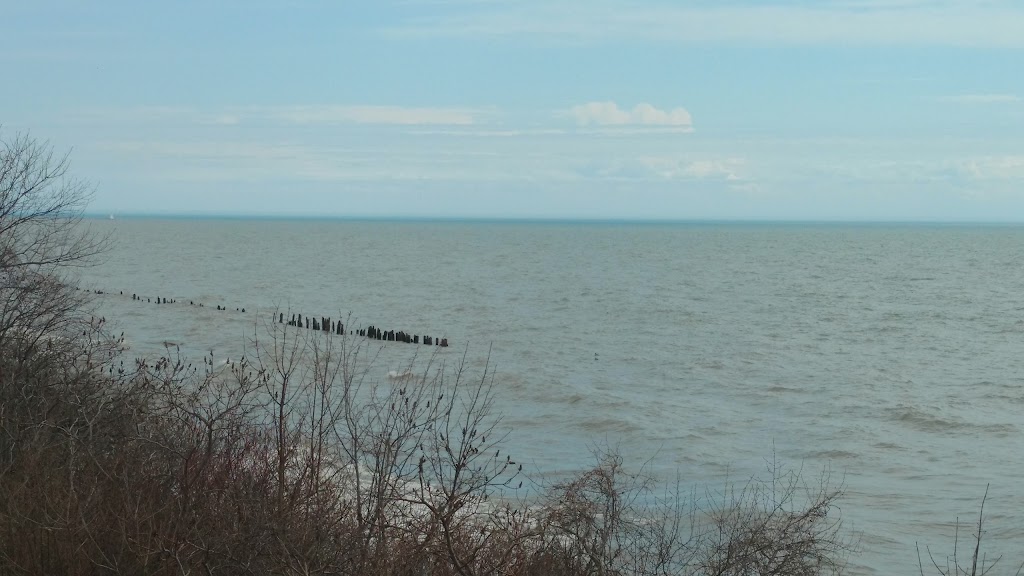 Erieau Marina | Erieau, ON N0P 1A0, Canada | Phone: (519) 676-4471