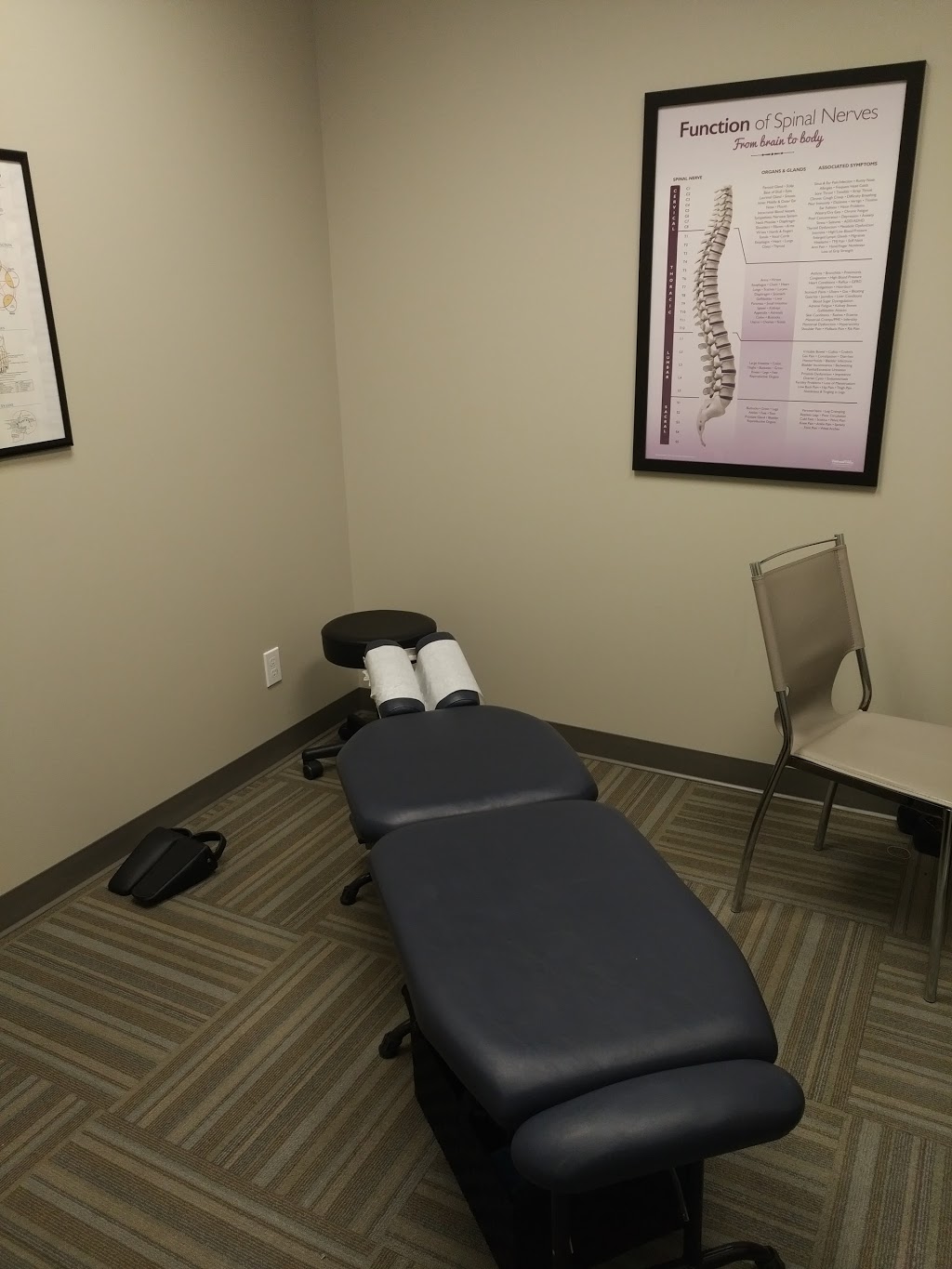 Dr. Renee Laframboise B.Sc., D.C. | 1500 Paris St Unit 11, Sudbury, ON P3E 3B8, Canada | Phone: (705) 885-2088