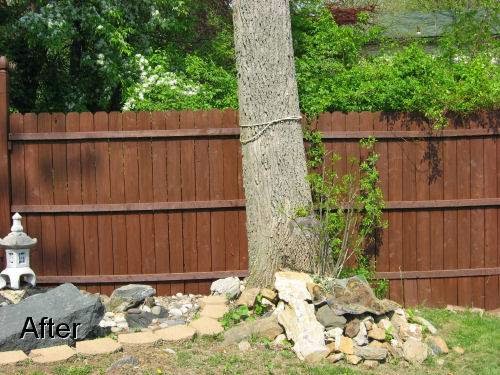 Dr. DecknFence | 11914 212 St, Maple Ridge, BC V2X 7P7, Canada | Phone: (604) 463-3661