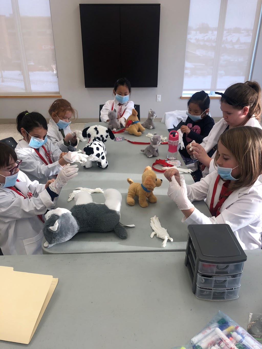 Little Medical School - Region of Waterloo | 180 Northfield Dr W, 1st Fl, Unit 4, Waterloo, ON N2L 0C7, Canada | Phone: (226) 989-8998