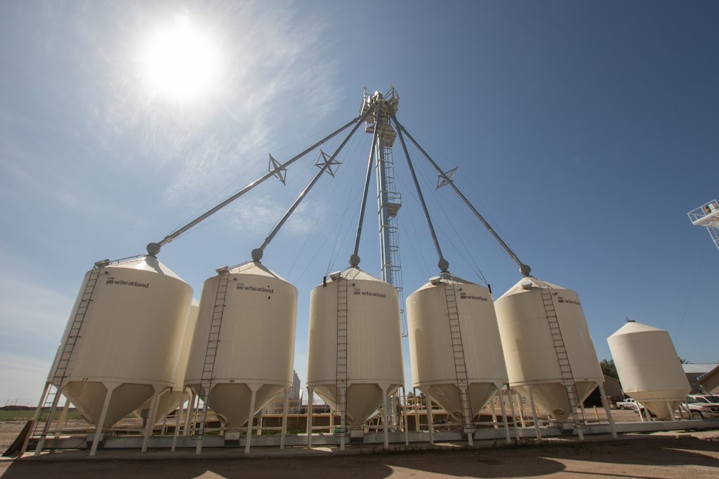 K3 Seeds | 110021, Range Road 20-3, Picture Butte, AB T0K 1V0, Canada | Phone: (403) 738-4517