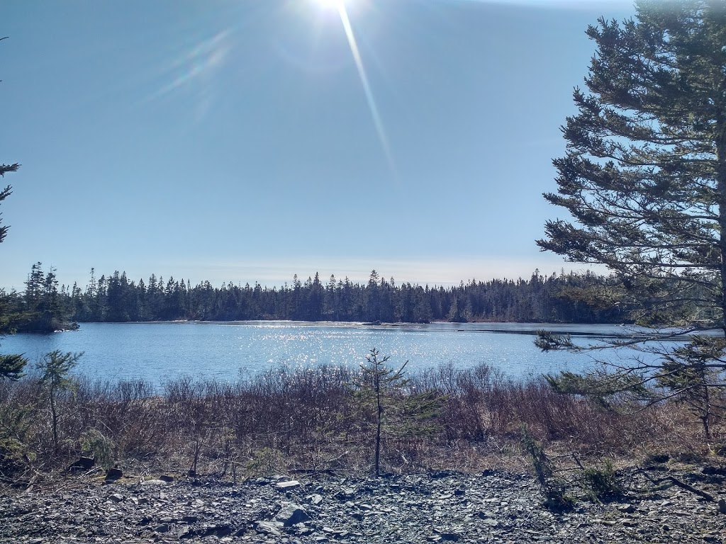 Green Bay RV Park | 702 Green Bay Rd, Petite Rivière Bridge, NS B4V 5Z2, Canada | Phone: (902) 529-0050