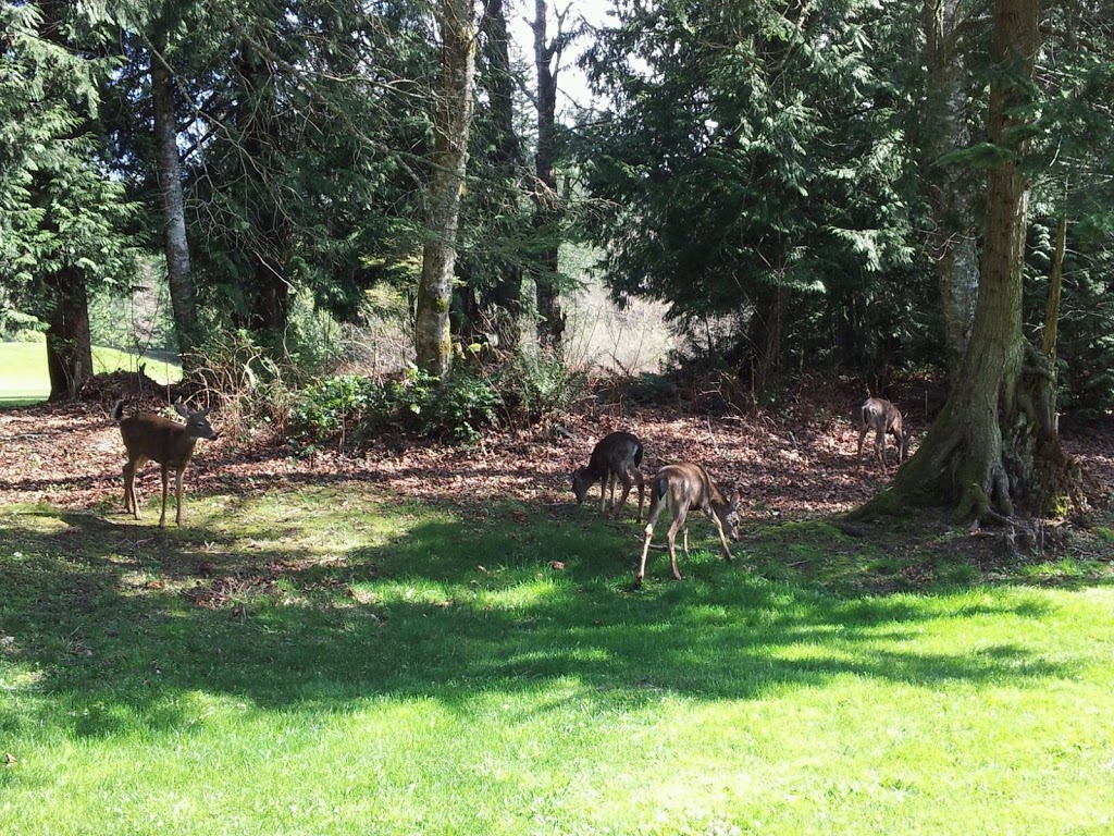 Lake Padden Golf Course | 4882 Samish Way, Bellingham, WA 98229, USA | Phone: (360) 738-7400