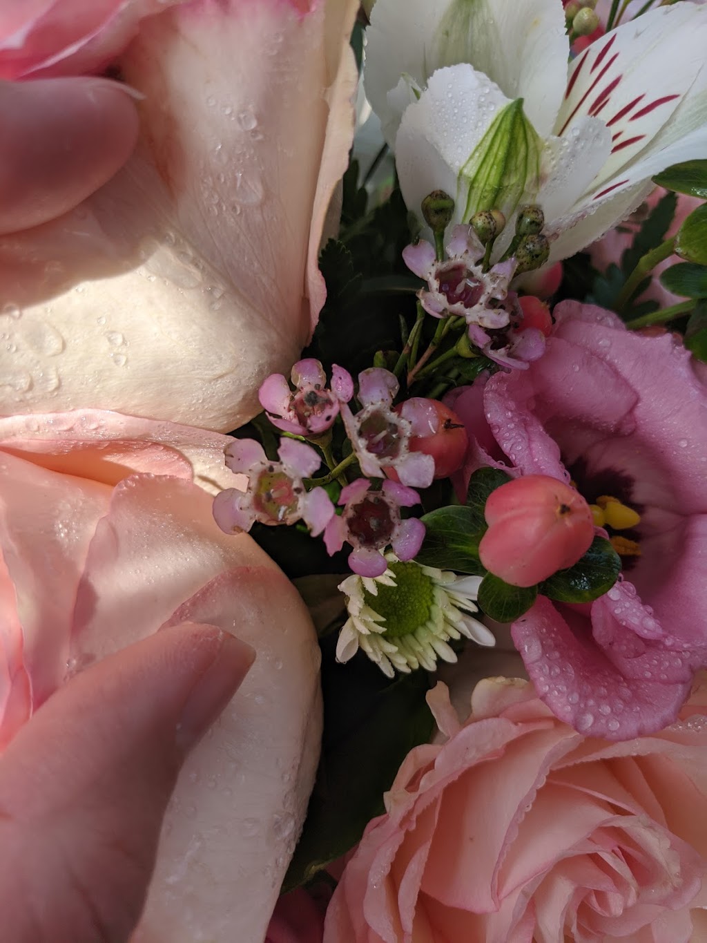 Kennedy Flowers | 2373 Kingston Rd, Scarborough, ON M1N 1V1, Canada | Phone: (416) 266-8778