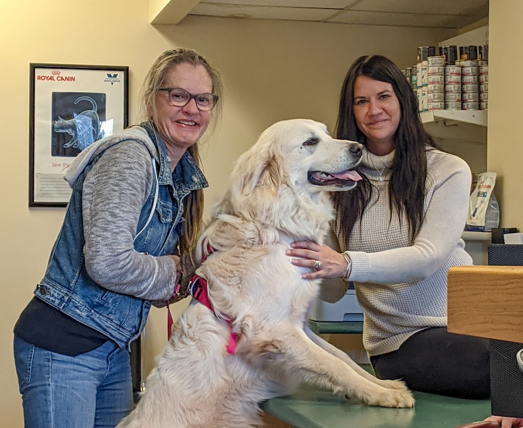 Cornwall Veterinary Clinic | 584 Main St, Cornwall, PE C0A 1H0, Canada | Phone: (902) 368-8374