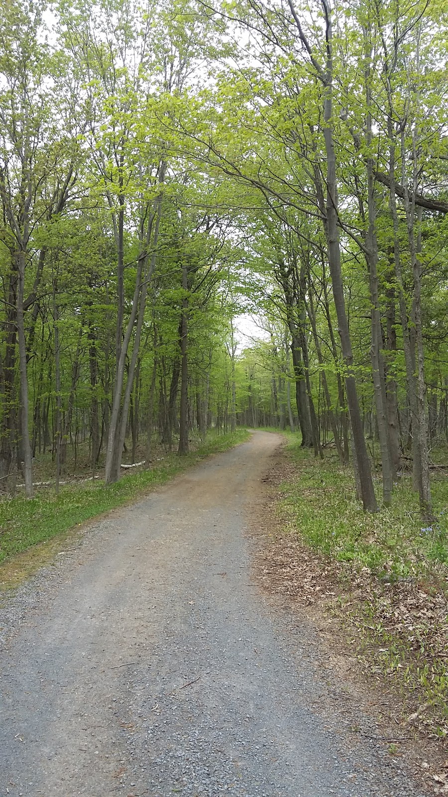 Robert Wehle State Park | 5182 N School House Rd, Henderson, NY 13650, USA | Phone: (315) 938-5302