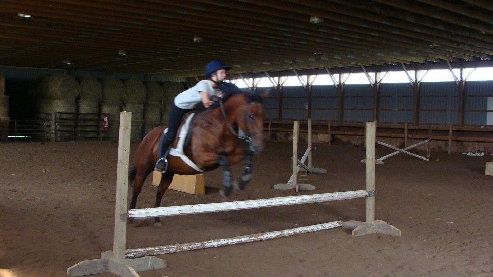 Fox Lair Stables | 843 Concession 1 Rd, Canfield, ON N0A 1C0, Canada | Phone: (905) 774-1373