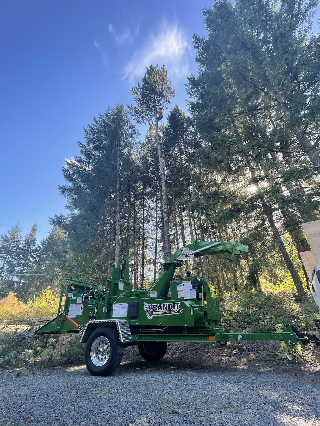 Accure Tree Service | 3484 Osprey Lookout, Nanaimo, BC V9T 4E7, Canada | Phone: (250) 713-9781