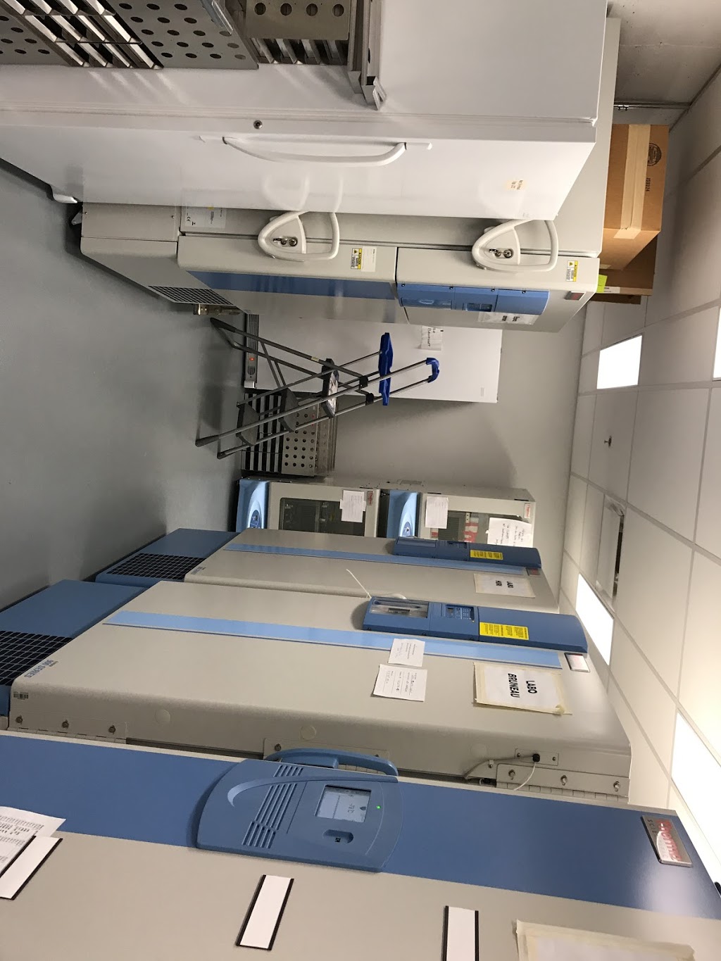 Institut de recherche en biologie végétale de lUniversité de Mo | 4101 Rue Sherbrooke E, Montréal, QC H1X 2B2, Canada | Phone: (514) 343-2121