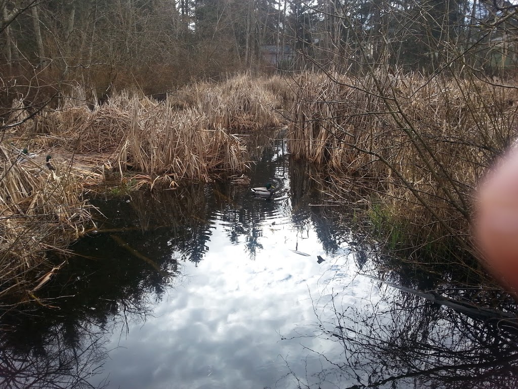 Diver Lake Park | 2430 Black Franks Dr, Nanaimo, BC V9T 3K5, Canada | Phone: (250) 754-4251