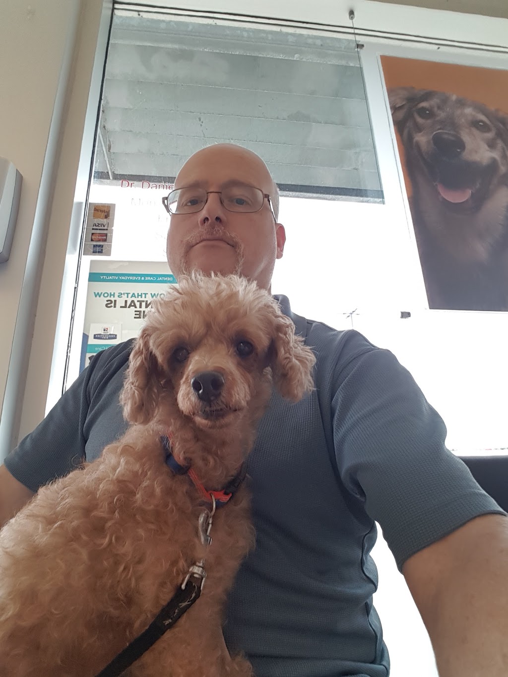 Baldwin Animal Hospital | 4160 Baldwin St S, Whitby, ON L1R 3H8, Canada | Phone: (905) 655-2287