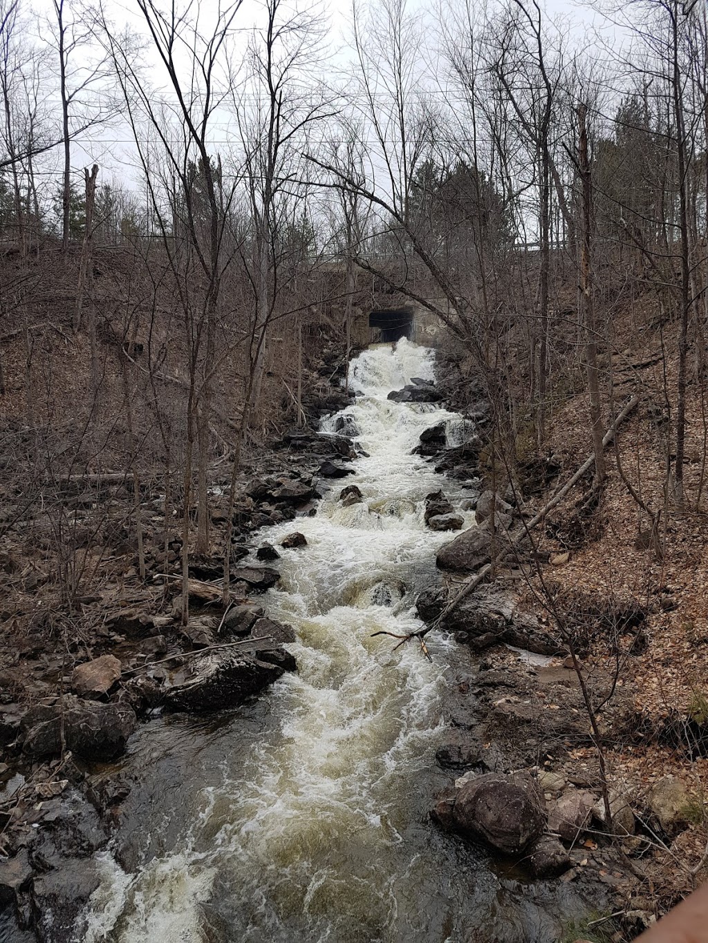 Old Chelsea Picnic Area | 15 Chemin Kingsmere, Chelsea, QC J9B 1G8, Canada | Phone: (613) 239-5678