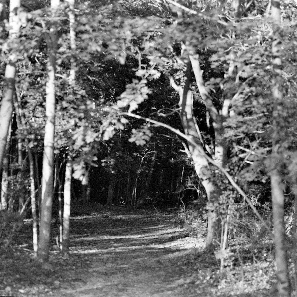 Kettlecreek Conservation | 10518 Dalewood Rd, St. Thomas, ON N5P 3T3, Canada | Phone: (519) 631-1009