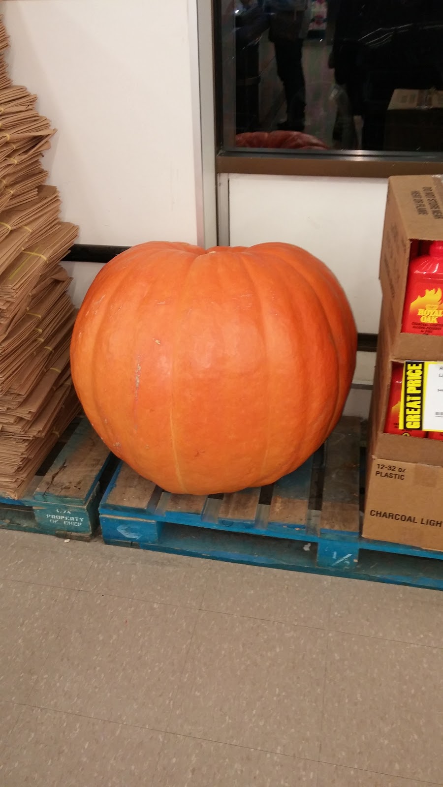 FreshCo. | 199 Wentworth St W, Oshawa, ON L1J 6P4, Canada | Phone: (905) 434-7213