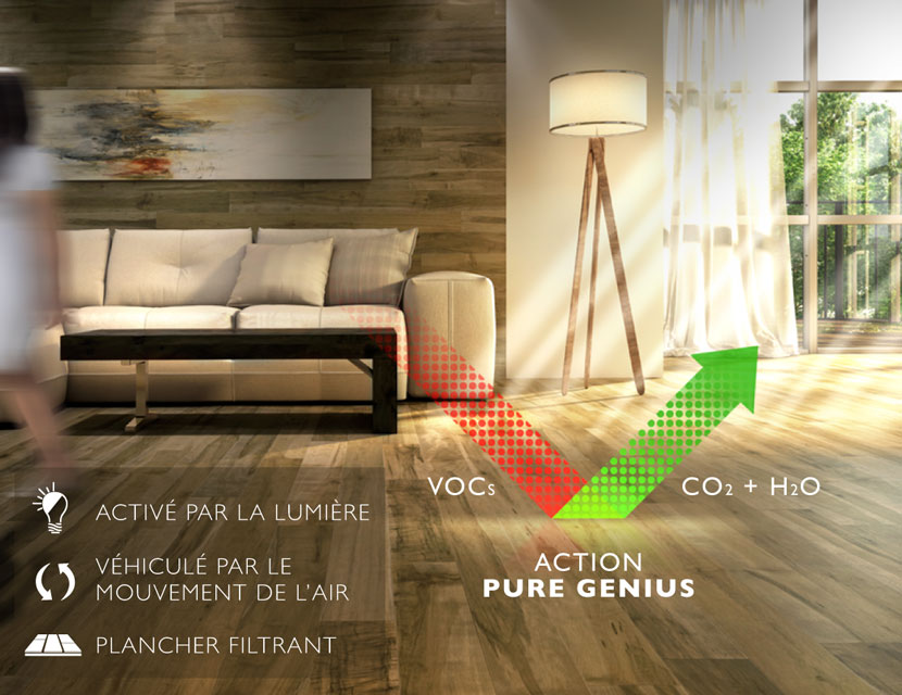 Tapis Magog Inc | 1735 Rue Sherbrooke, Magog, QC J1X 2T5, Canada | Phone: (819) 843-9456